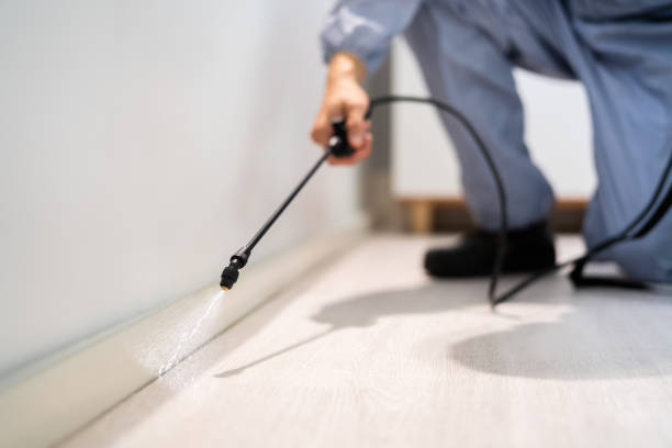 Licensed Pest Control service in Alburtis, PA - Show Me Pest Control