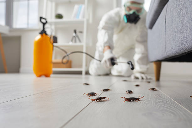 Post-Treatment Bed Bug Interceptor Monitoring in Alburtis