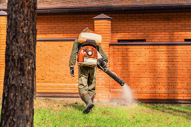 Bed Bug Clearance Verification and Documentation in Alburtis